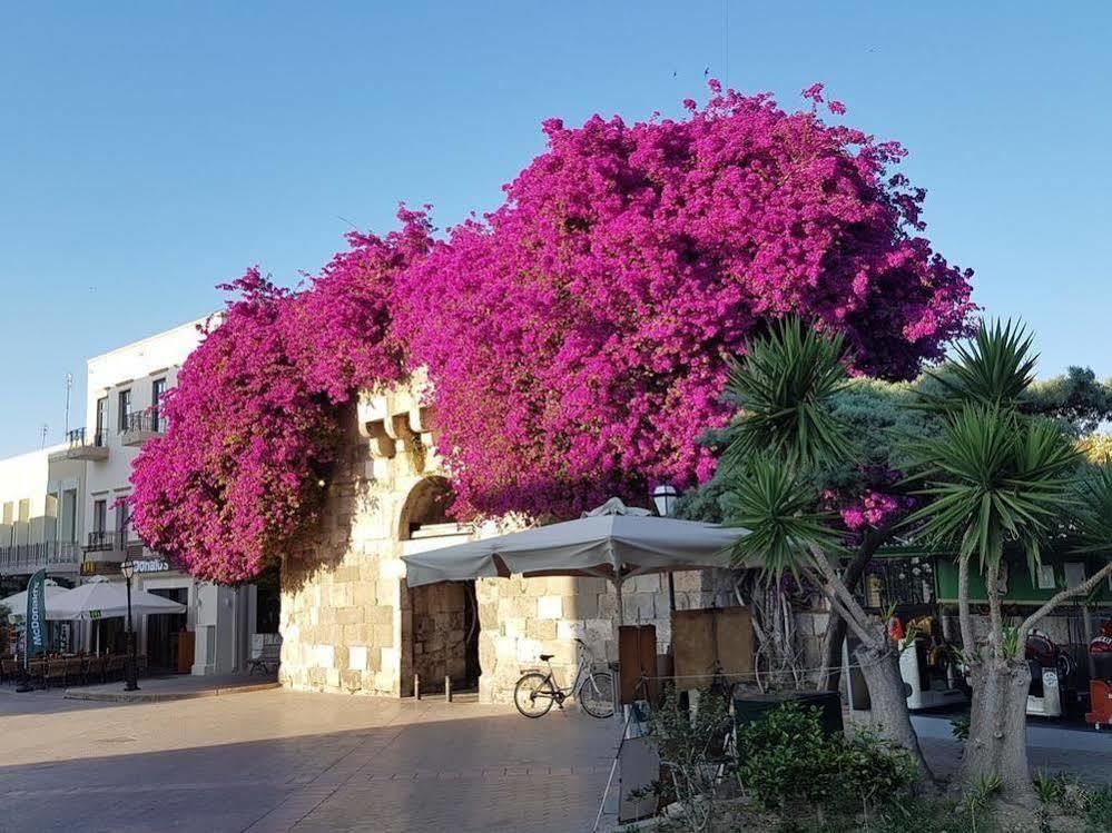 Paradise Hotel Kos Town Exterior photo